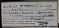 Image Associated With the Occurence